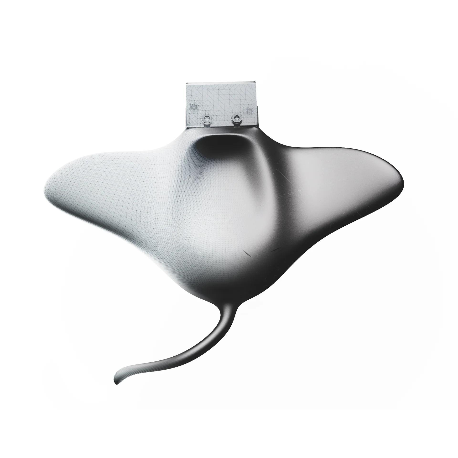 RAY – 2 of 5