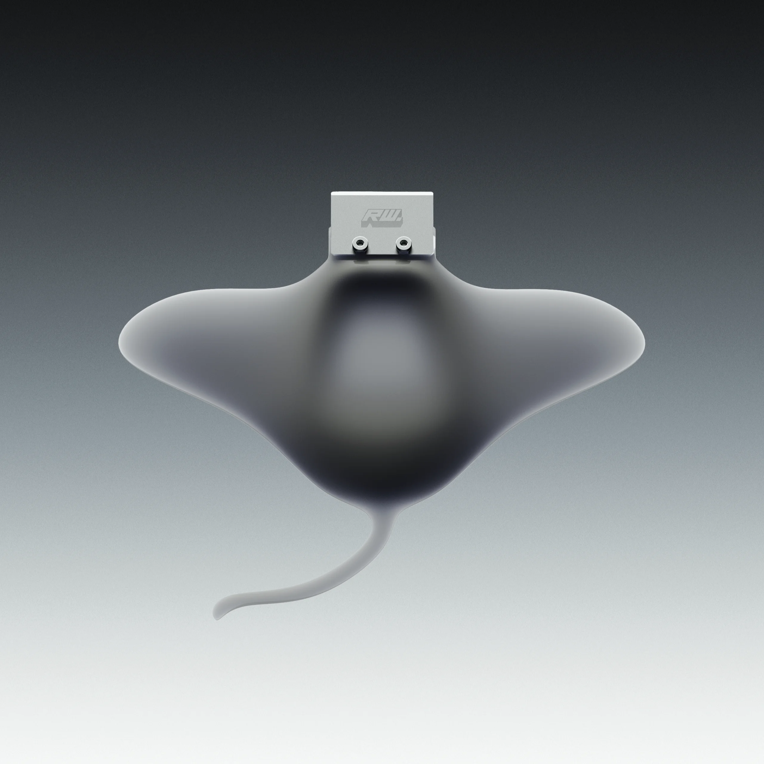 RAY – 4 of 5