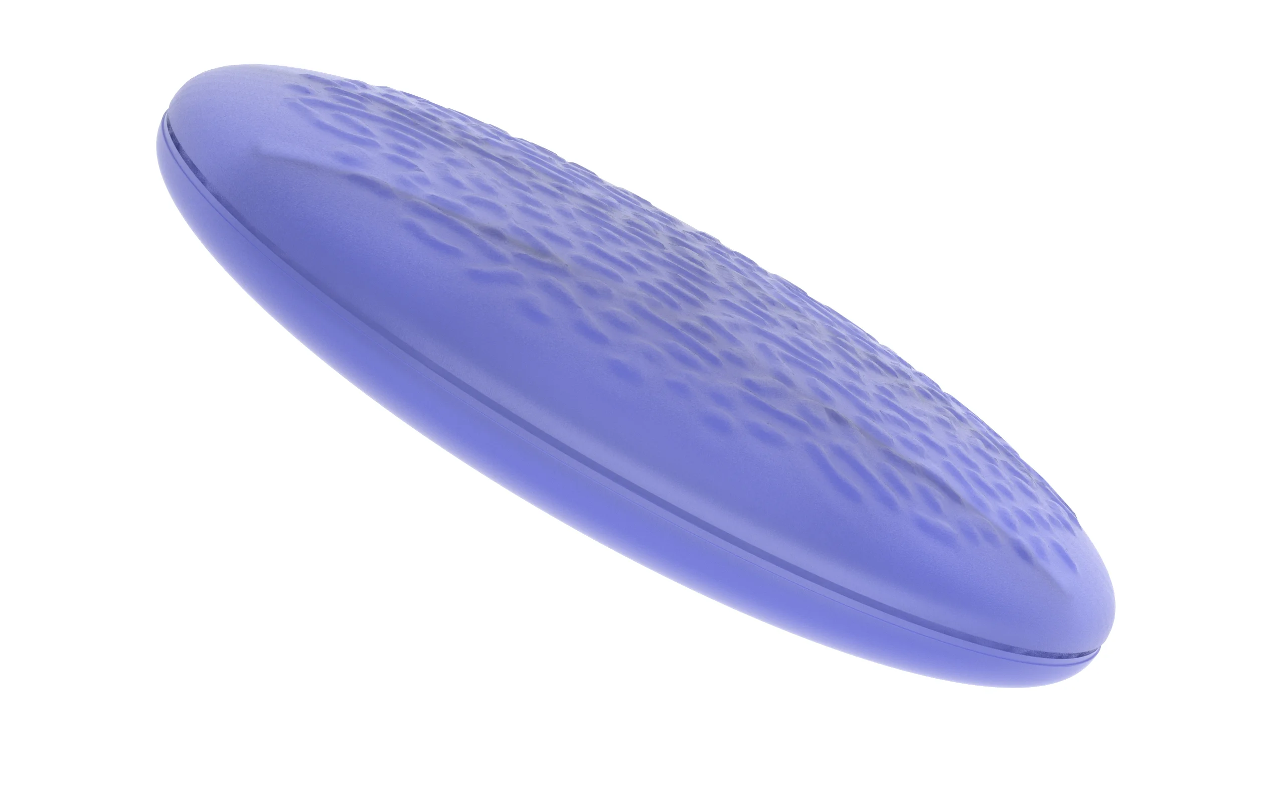 Textured Scrape Disk – 3 of 5